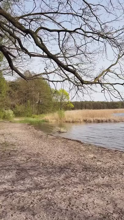 MoonBox KitchenBox – Tragbare Küchenbox 